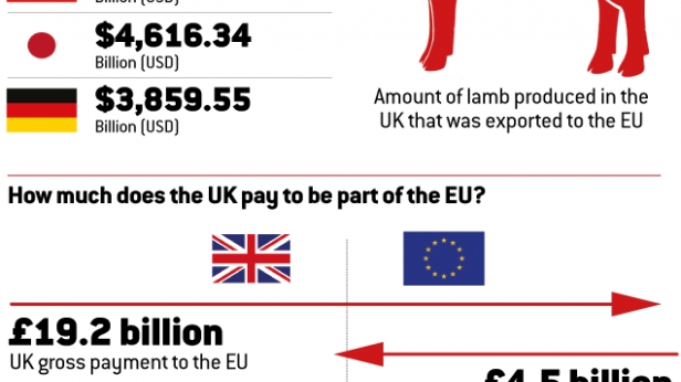 La contribution financière du Royaume-Unis au budget de l'UE