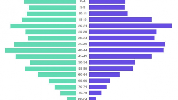 La population chinoise par tranches d'âge, en 2010
