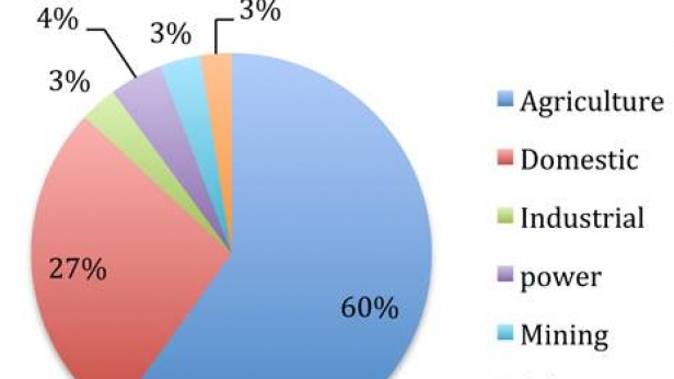 L'utilisation d'eau en Afrique du Sud en 2013 - L'agriculture en consomme la majorité, suivie par la consommation domestique
