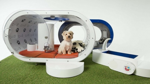 Une niche pour chien digne d’un hôtel 5 étoiles ! Samsung présente La Dream Doghouse, composée d'un tapis de course Astroturf, d’une petite piscine d’hydrothérapie ainsi que d'une tablette Galaxy Tab S ! Un projet futuriste évalué à 28 000 euros