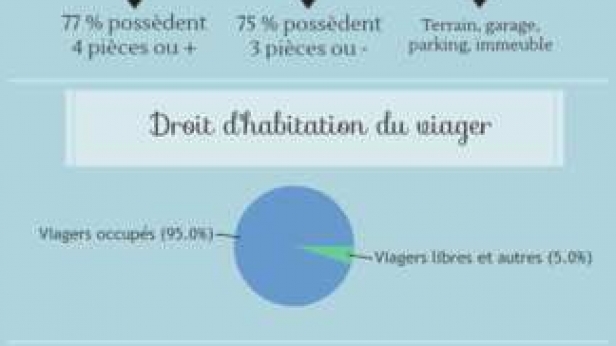 Le marché du viager est un micro-marché aux conditions spécifiques, bien qu'attractif y réaliser un investissement nécessite prudence !