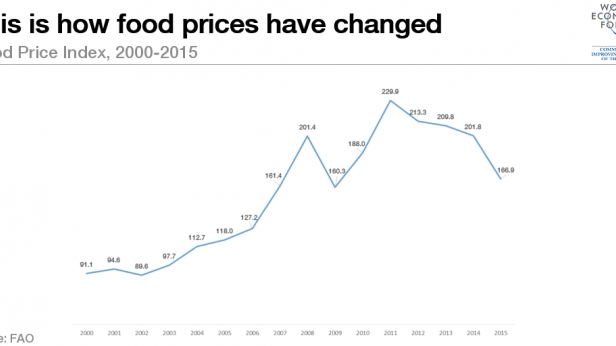 Les prix de l'alimentation sont largement retombés. Souvenez vous des médias socialistes qui assassinaient les banquiers affameurs de l'humanité... maintenant, ils râlent tous sur les dangers de la déflation... jamais contents !