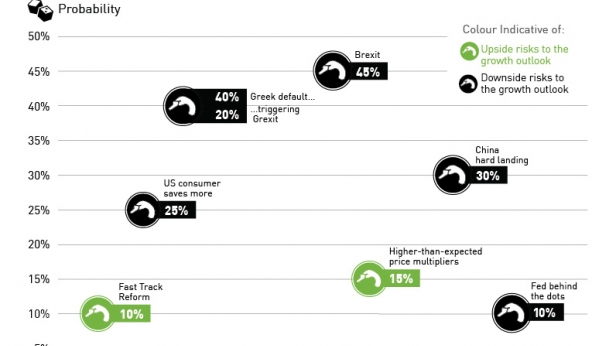 Les différents risques qui peuvent générer un black swan en 2015