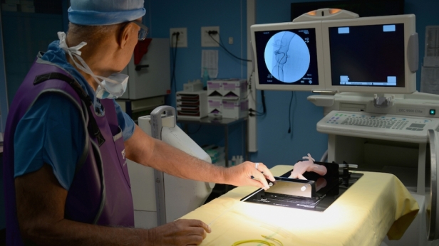 Biomodex a mis au point des maquettes de simulation qui permettent aux chirurgiens de s’entrainer sur des copies de leurs patients avant de passer à la véritable opération