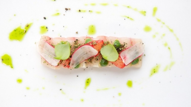 Si vous êtes de passage à Amsterdam, ne ratez pas ce nouveau restaurant qui vient d'y ouvrir: Fraîche ! Il propose un menu dégustation très spécial à 70€, qui permet de goûter 8 plats psychédéliques, à base de cannabis !