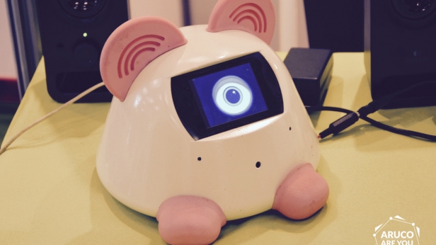 La startup rennaise Haapie a pris le parti de développer un assistant personnel de A à Z. Ce robot est capable d’interagir par la parole pour vous assister ou vous renseigner. De grandes compagnies d'assurances seraient d'ores et déjà intéresées !