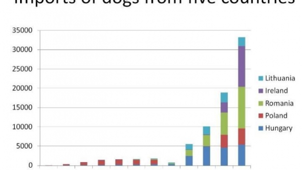 Le commerce de chiens en Grande-Bretagne s'amplifie - Importations à partir de 5 pays européens, de 2004 à 2015
