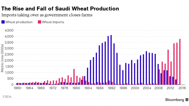 La production et l'importation de blé en Arabie Saoudite depuis 1960 - En 2016, toute la consommation en blé sera importée