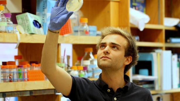 Il y a des bactéries dans le corps utiles au système immunitaire mais les antibios classiques les attaquent aussi. Eligo Bioscience start up française, développe des antibios intelligents capables de s'en prendre uniquement aux bactéries pathogènes !