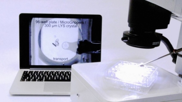 RodBot, est un nanorobot développé par la société MagnebotiX qui fabrique des médicaments