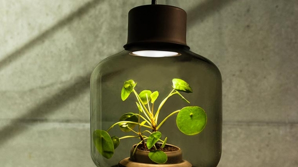 Mygdal Plantlamp est une lampe capable d’accueillir et de faire pousser des plantes sans lumière naturelle et sans eau